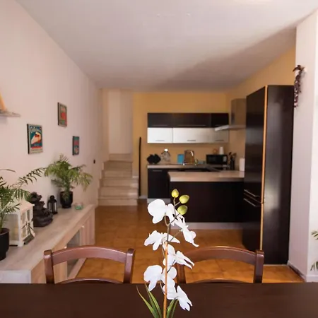 Gardenhouse - Wifi And Garden * Verona